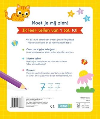 Deltas Mijn eerste 123 oefenboek 4-6 j.
