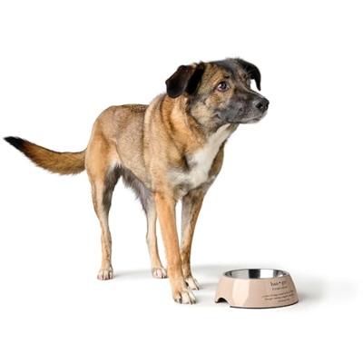 Voerbak voor honden Hunter LUTON 700 ml