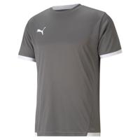 PUMA teamLIGA Voetbalshirt Grijs Wit - thumbnail