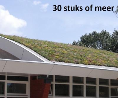 Minimaal 30 stuks! Dakgroen Sedummixmat Compleet (incl. drainage type 11c & 3 zakken daktuinsubstraat) per 1.2 m2 max. 25 graden Sempergreen - Sempergreen Minimaal 30 stuks! Dakgroen Sedummixmat Compleet (incl. drainage type 11c & 3 zakken daktuinsubstraat) per 1.2 m2 max. 25 graden Sempergreen - Sempergreen