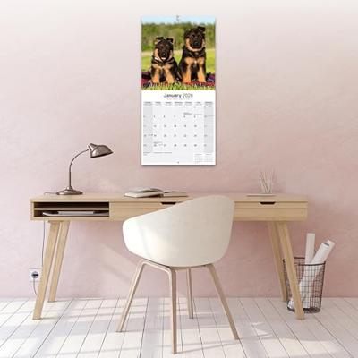 German Shepherd Calendar 2026 Square Dog Breed Wall Calendar - 16 Month