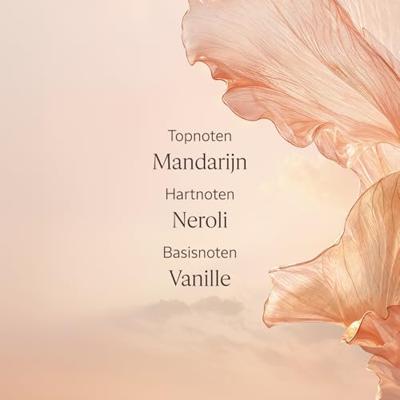 Handcrème L'Occitane En Provence NÉROLI & ORCHIDÉE 30 ml