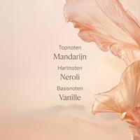 Handcrème L'Occitane En Provence NÉROLI & ORCHIDÉE 30 ml - thumbnail