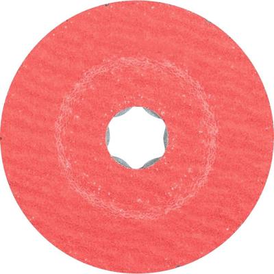 PFERD TOOLS 64189102 Schuurschijf Diameter 100 mm