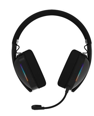 Oordopjes Zalman ZM-HPS650W Zwart