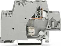 WAGO 280-503/281-581 Aderklem 10 mm Spanveer Toewijzing: L Grijs 50 stuk(s) - thumbnail