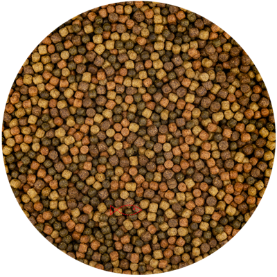 Vivani Top Mix 3mm Koi Voer 6kg - Natuurlijke Kleurboost & Immunostimulanten