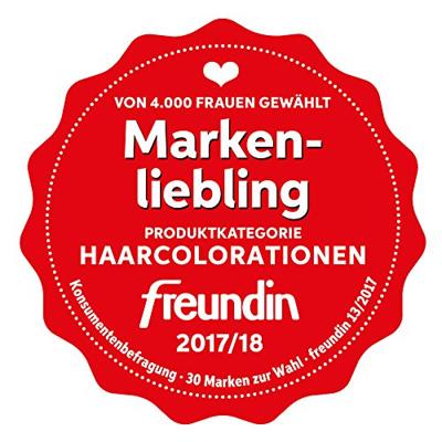 Sante Haarverf zwart BDIH 100 Gram