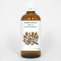 Balancepharma Gemmo simplex 14 fagus sylvatica 100 Milliliter - thumbnail