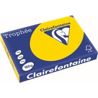 Clairefontaine Trophée Pastel, gekleurd papier, A3, 160 g, 250 vel, goudgeel - thumbnail