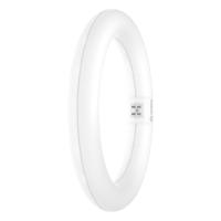 LEDVANCE LED-buis-Globe Energielabel: E (A - G) G10q 11 W Daglichtwit 1 stuk(s) (Ø x l) 212.00 mm x 212.00 mm - thumbnail