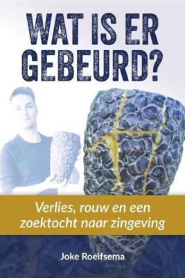 Wat is er gebeurd? (Paperback)
