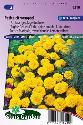 Tagetes Patula zaden Petite Yellow afrikaantje