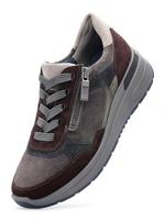 Ara 1257702 - alle - thumbnail