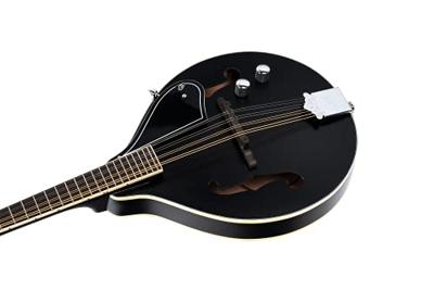 Ortega A-style Series RMAE40SBK mandoline met gigbag