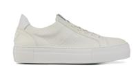 Floris van Bommel Dames Sneakers in Leder (Wit) - thumbnail