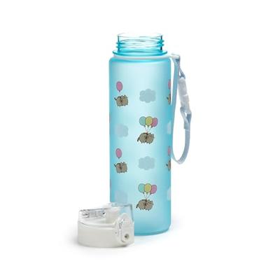 Pusheen de Kat Ballonnen Pop Top 600ml Ecozen Drinkfles