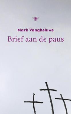 Brief aan de Paus - Mark Vangheluwe - ebook