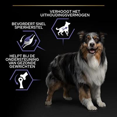 Purina Pro Plan All Sizes Adult Performance kip 14 kilo - thumbnail