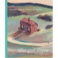 Alles gaat slapen want nu is het nacht (Hardback) - thumbnail