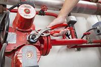 Facom Tang 250Mm - 170APB - 170APB - thumbnail