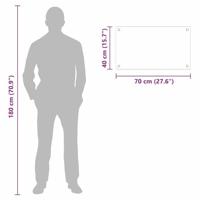 VidaXL Keuken achterwand doorzichtig 70 x 40 cm gehard glas - thumbnail