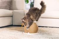 Designed by Lotte Krab+speelbol mila hout - thumbnail