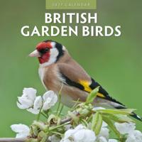 British Garden Birds Kalender 2027 - thumbnail