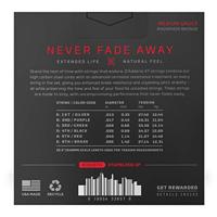 D&apos;Addario XTAPB1356-3P 13-56 Medium Phosphor Bronze Coated snaren voor westerngitaar (3 sets) - thumbnail