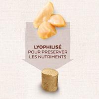 Natures Variety freeze dried bites chicken - thumbnail