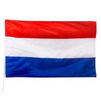 Gevelvlag Nederland 90x150 - thumbnail