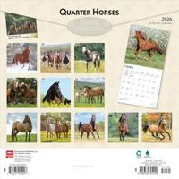Quarter Horse Kalender 2026 - thumbnail