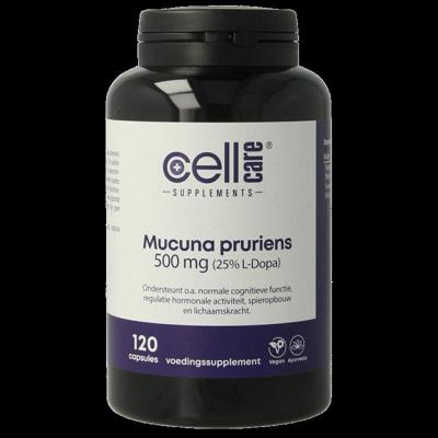 Mucuna pruriens 500mg (25% L-dopa) 120 Capsules Mucuna pruriens 500mg (25% L-dopa) 120 Capsules