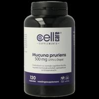 Mucuna pruriens 500mg (25% L-dopa) 120 Capsules - thumbnail
