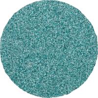 PFERD TOOLS CDR 38 Z 60 42773406 Schuurblad Korrelgrootte (num) 60 (Ø) 38 mm 100 stuk(s) - thumbnail