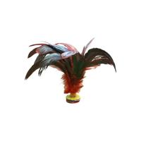 SET OF 6 FOOTBALL INDIAKAS WITH DARK PLUMES - thumbnail