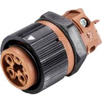 Wieland Electric 46.051.5050.4 Ronde connector Bus, inbouw Totaal aantal polen: 5 Serie (ronde connectoren): RST® MINI 1 stuk(s) - thumbnail