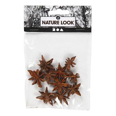 Creativ Company Ster anijs, 10 stuk/ 1 doos Creativ Company Ster anijs, 10 stuk/ 1 doos