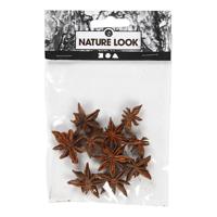 Creativ Company Ster anijs, 10 stuk/ 1 doos - thumbnail