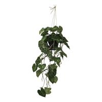 Philodendron hang 105 cm kunstplant Buitengewoon de Boet - Buitengewoon de boet - thumbnail