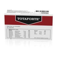 Totaforte - thumbnail