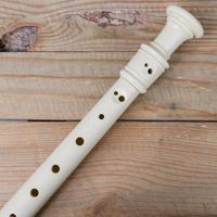 Hage MusikVerlag EH 3908 Lilli&apos;s Recorder, Duitse boring - thumbnail