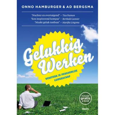 Gelukkig werken (Paperback)
