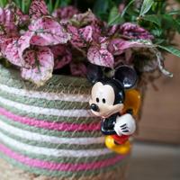 Pot Buddy Mickey 6x5x10 cm Disney - Disney - thumbnail