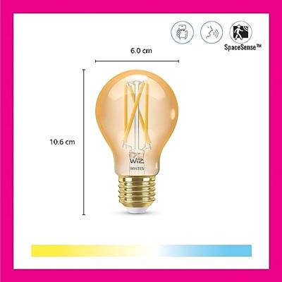 WiZ Lamp Filament - Slimme LED-Verlichting - Warm- tot Koelwit Licht …