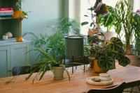 Fiskars Plant Care Bewateringssysteem - 1075319 - thumbnail