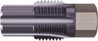 HAZET Draadnasnijder uitlaattemperatuursensoren/-sondes 4683-18 · 13 mm buitenzeskant · Lengte: 42 mm - thumbnail