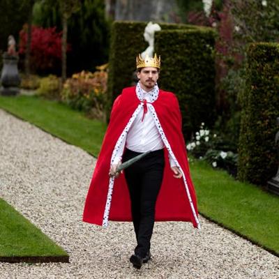 Koningskroon goud in blister