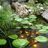 Welkin Pond Light - thumbnail