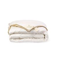 Tesselaer Het Dekbed 4-seizoenen 140 x 220 cm - thumbnail